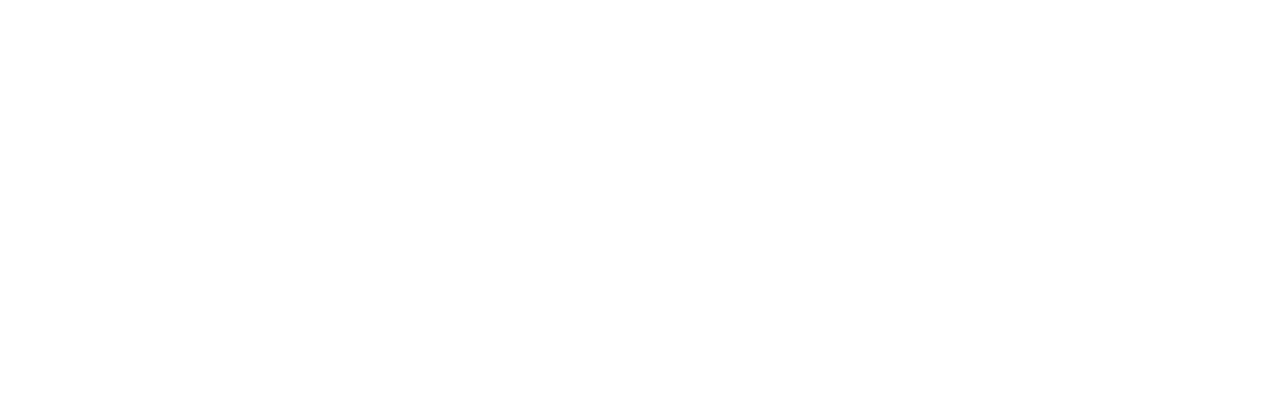 INCAS PSP